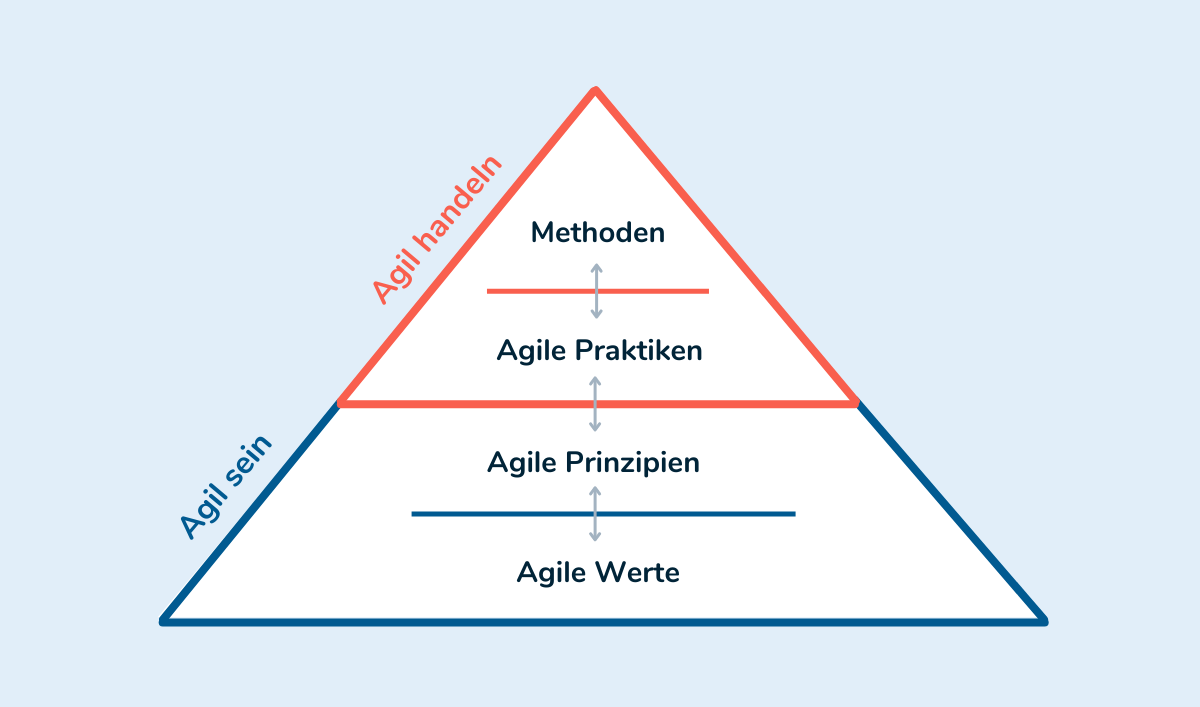 agiles arbeiten in organisationen einführen