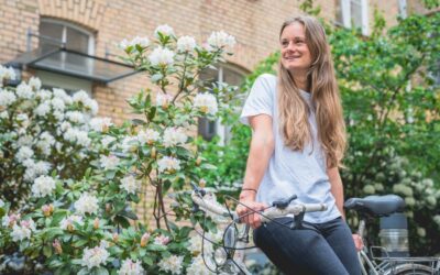 The seven resilience factors