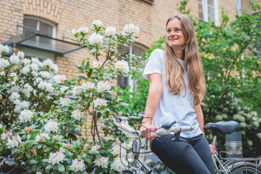 Was sind die 7 Säulen der Resilienz?