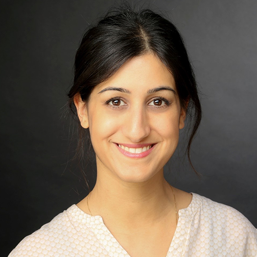 bahar-maleki bahar-maleki