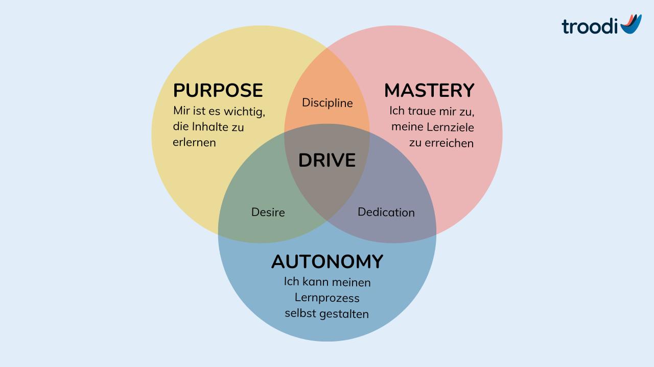 lernmotivation-intrinsische-motivation