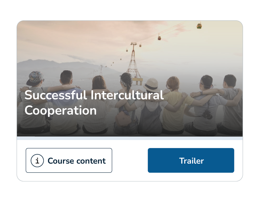 Intercultural cooperation