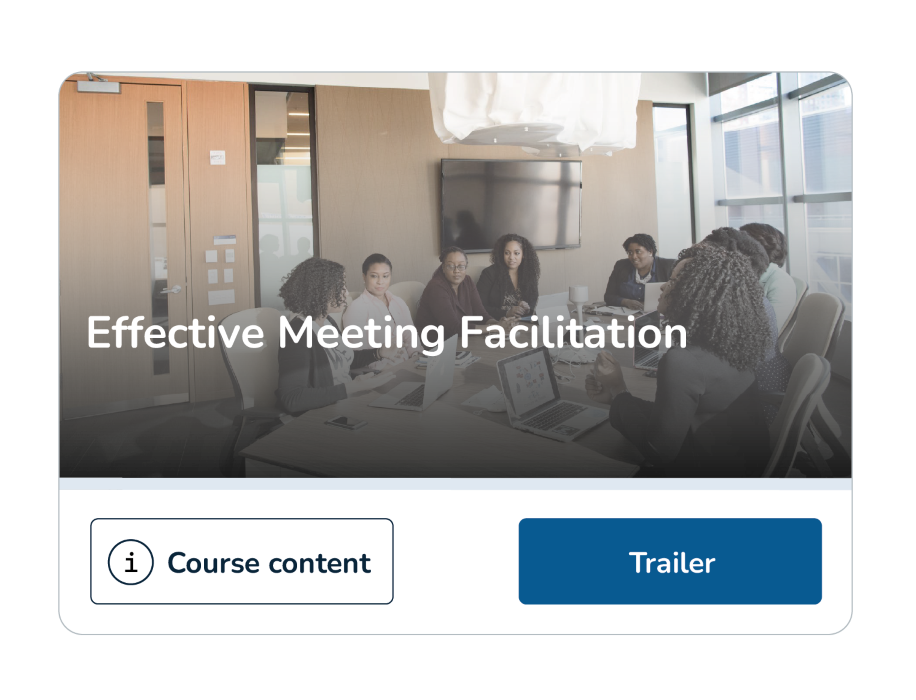 Meeting Facilitation